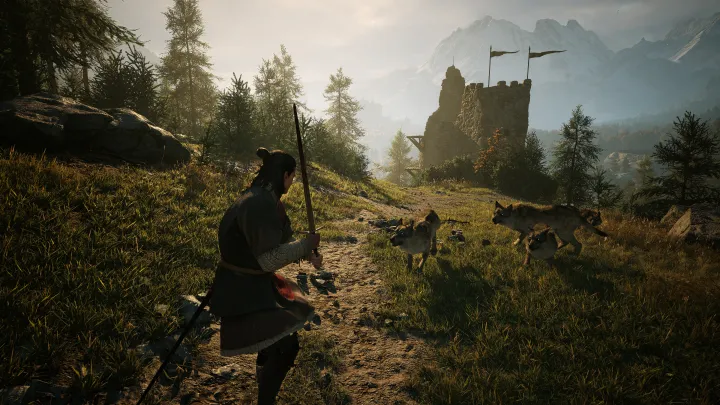 The Blood of Dawnwalker - PC