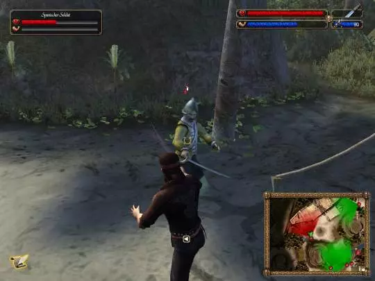 Tortuga - Two Treasures