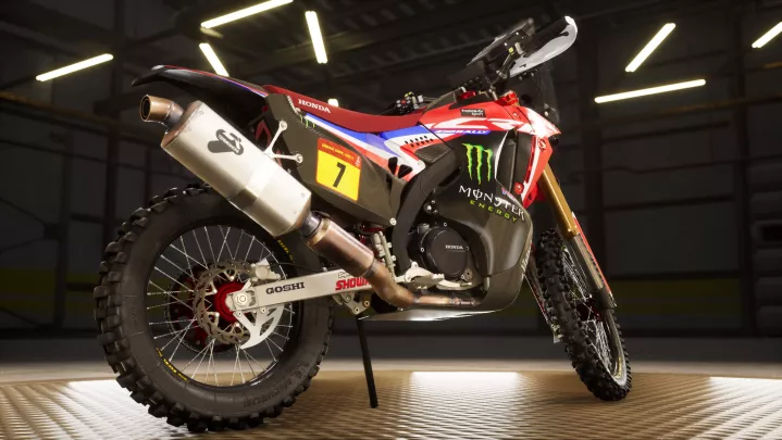 Dakar Desert Rally - PC