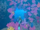 Endless Ocean Luminous - Imagen Nintendo Switch