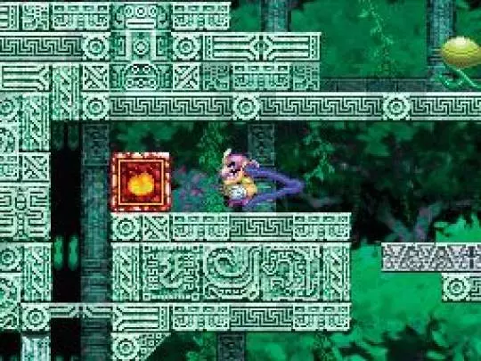 Wario Master of Disguise - DS