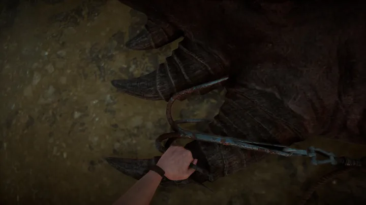 Amerzone - El Legado del Explorador