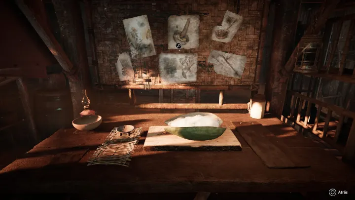 Amerzone - El Legado del Explorador