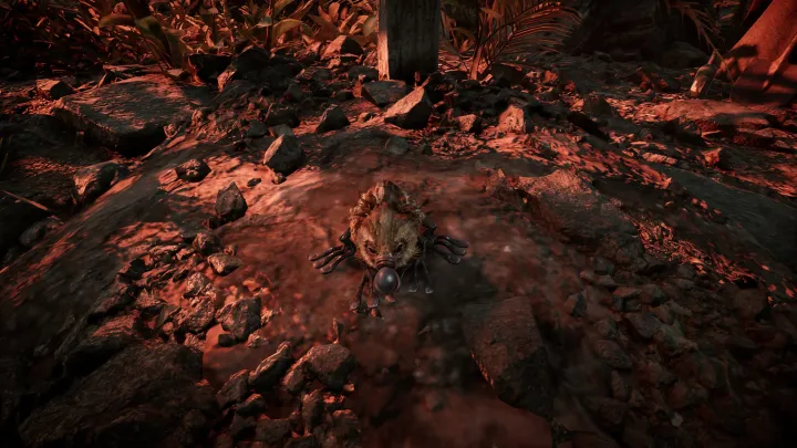 Amerzone - El Legado del Explorador