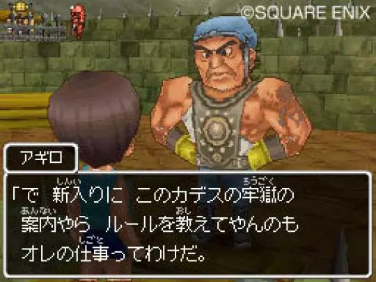 Dragon Quest IX
