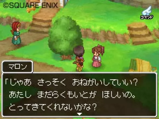 Dragon Quest IX