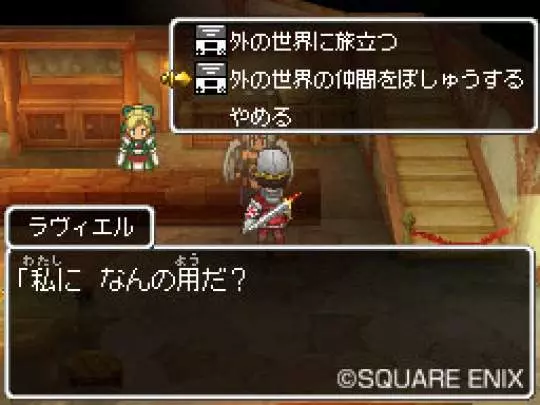 Dragon Quest IX