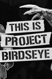 Project Birdseye