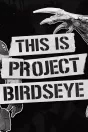 Project Birdseye PC