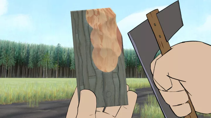 Pine A Story of Loss