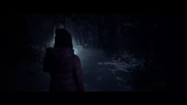 Until Dawn (Remake)