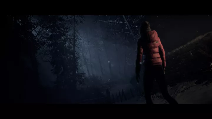 Until Dawn (Remake)