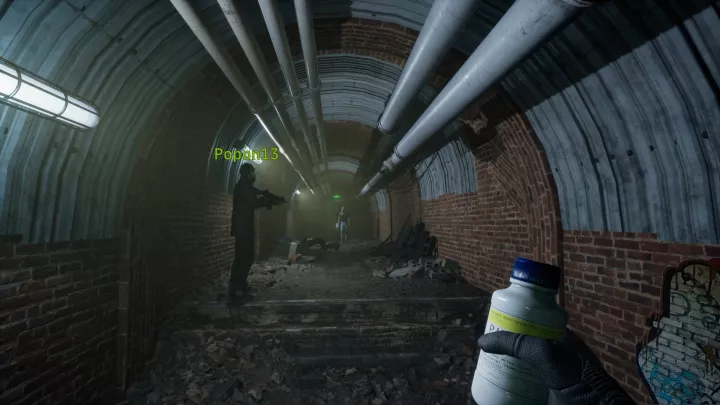 No More Room In Hell 2