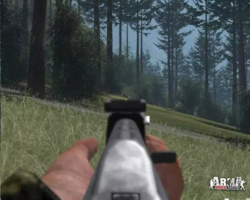 ArmA Armed Assault