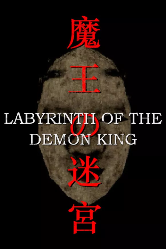Carátula de Labyrinth Of The Demon King