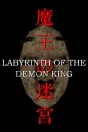Labyrinth Of The Demon King PC