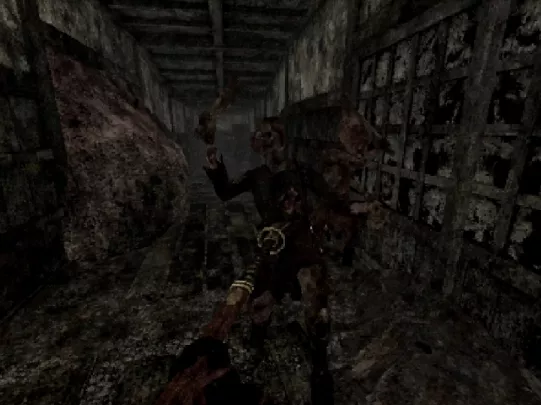 Labyrinth Of The Demon King - PC