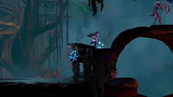 Frontier Hunter Erza's Wheel of Fortune