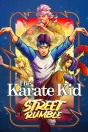 The Karate Kid: Street Rumble Xbox Series