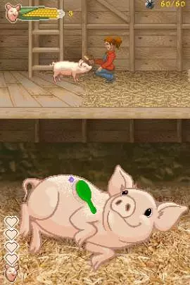 La Telaraña de Carlota