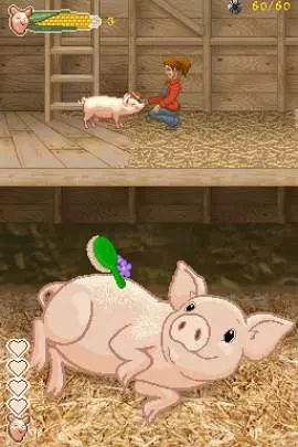 La Telaraña de Carlota