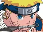 Naruto: Ninja Council
