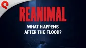 What Happens After The Flood. Tráiler de ReAnimal
