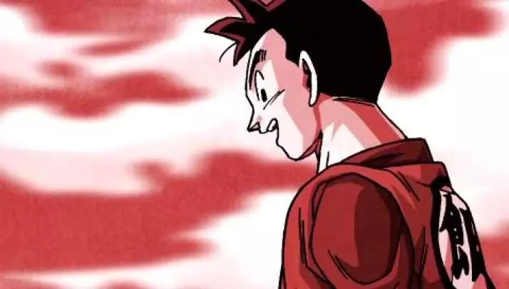 Dragon Ball Z Shin Budokai 2