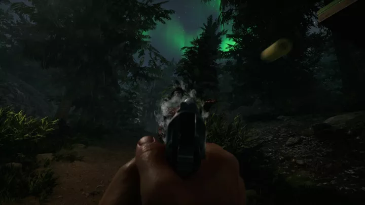 Projekt Z Beyond Order - PC