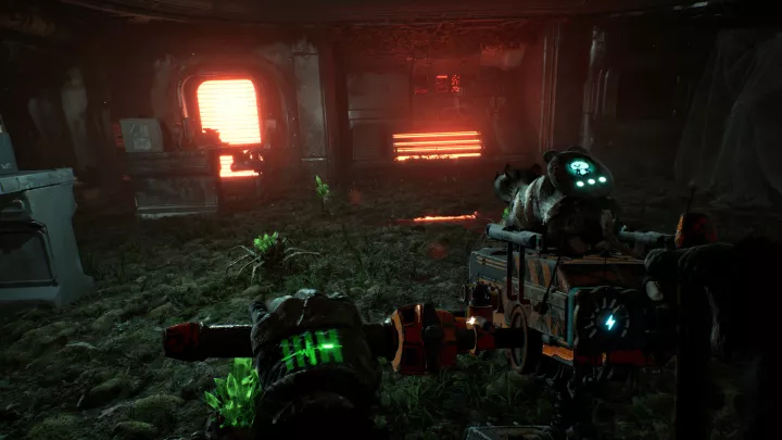 Animal Use Protocol - PC