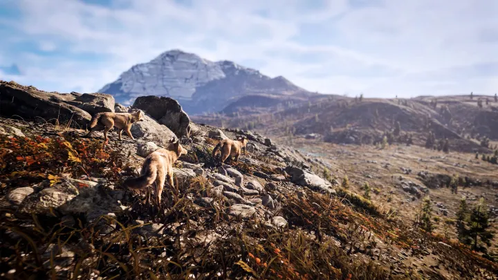 Hunting Simulator 3
