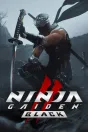 Ninja Gaiden 2 Black PC