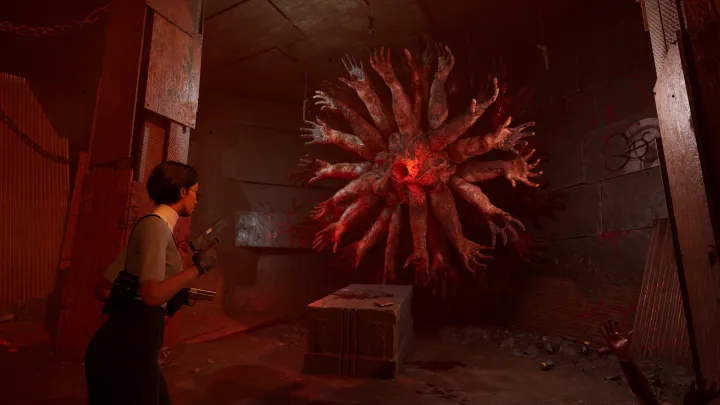 The Directorate Novitiate