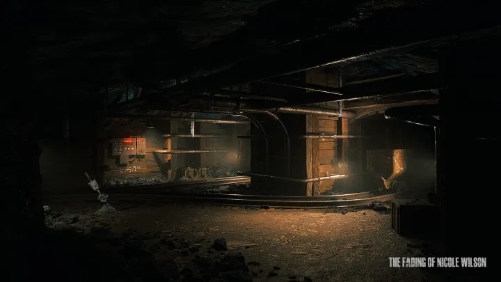 The Fading of Nicole Wilson - PC