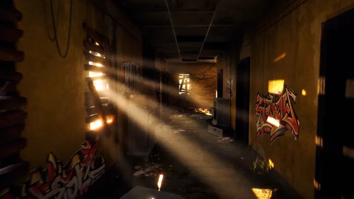 The Fading of Nicole Wilson