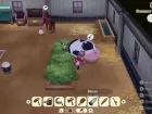Story of Seasons Grand Bazaar 
