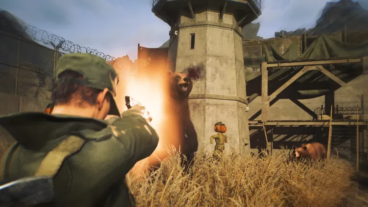 DMZ Nuclear Survival