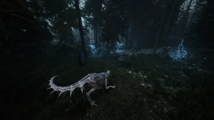 Beautiful Light - PC