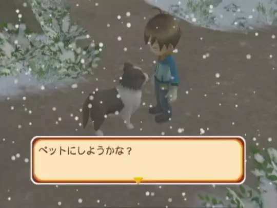 Harvest Moon Magical Melody