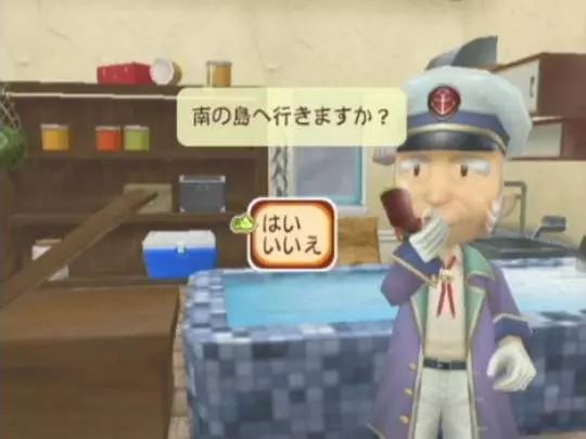 Harvest Moon Magical Melody - Wii