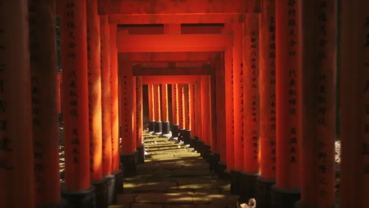 Lushfoil Photography Sim - PC