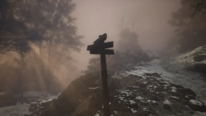 Lushfoil Photography Sim - PC