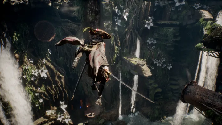 Beast of Reincarnation - PC