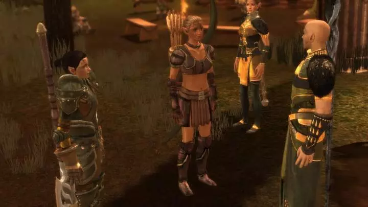 Dragon Age Origins