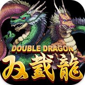 Carátula de Double Dragon - iOS