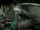 Shark Dentist