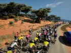 Pro Cycling Manager 25 - Pantalla