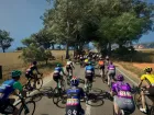 Pro Cycling Manager 25 