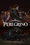 Peregrino