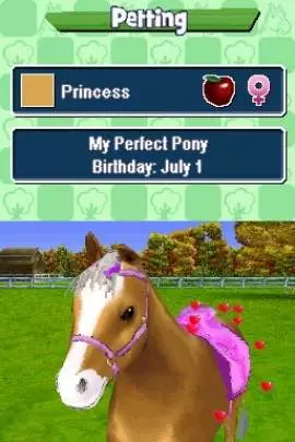 Pony Friends - DS
